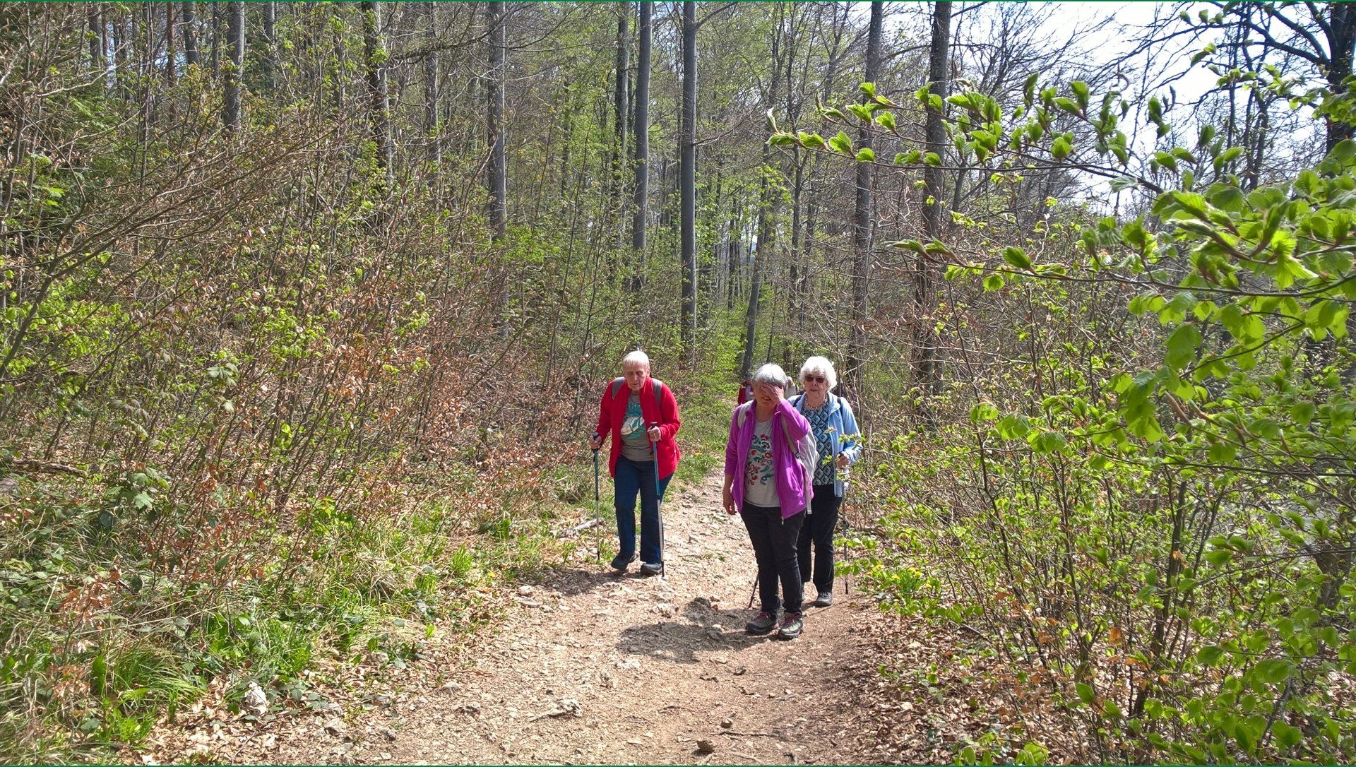 Wanderungen & Ausflüge