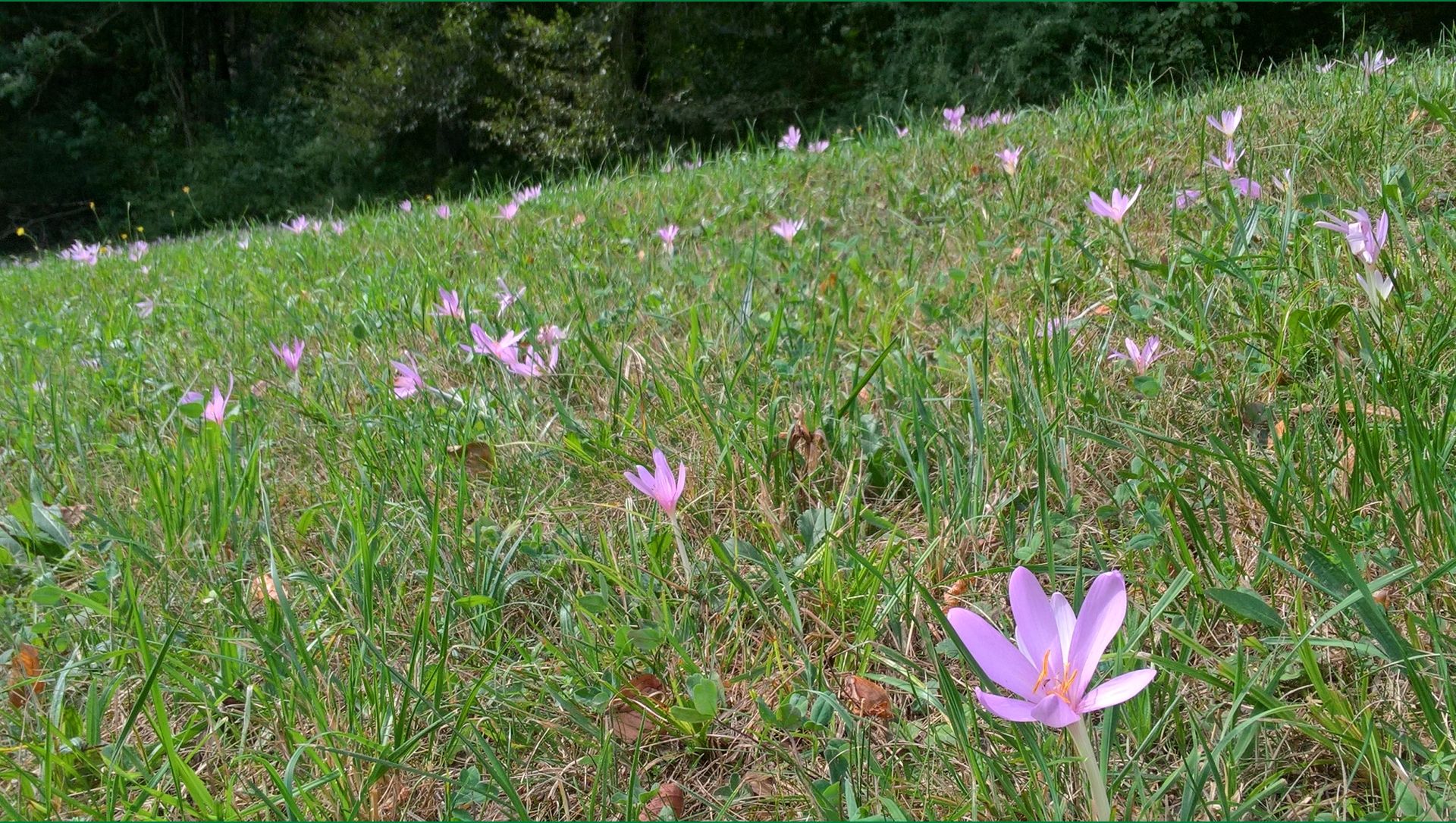 Wanderungen & Ausflüge