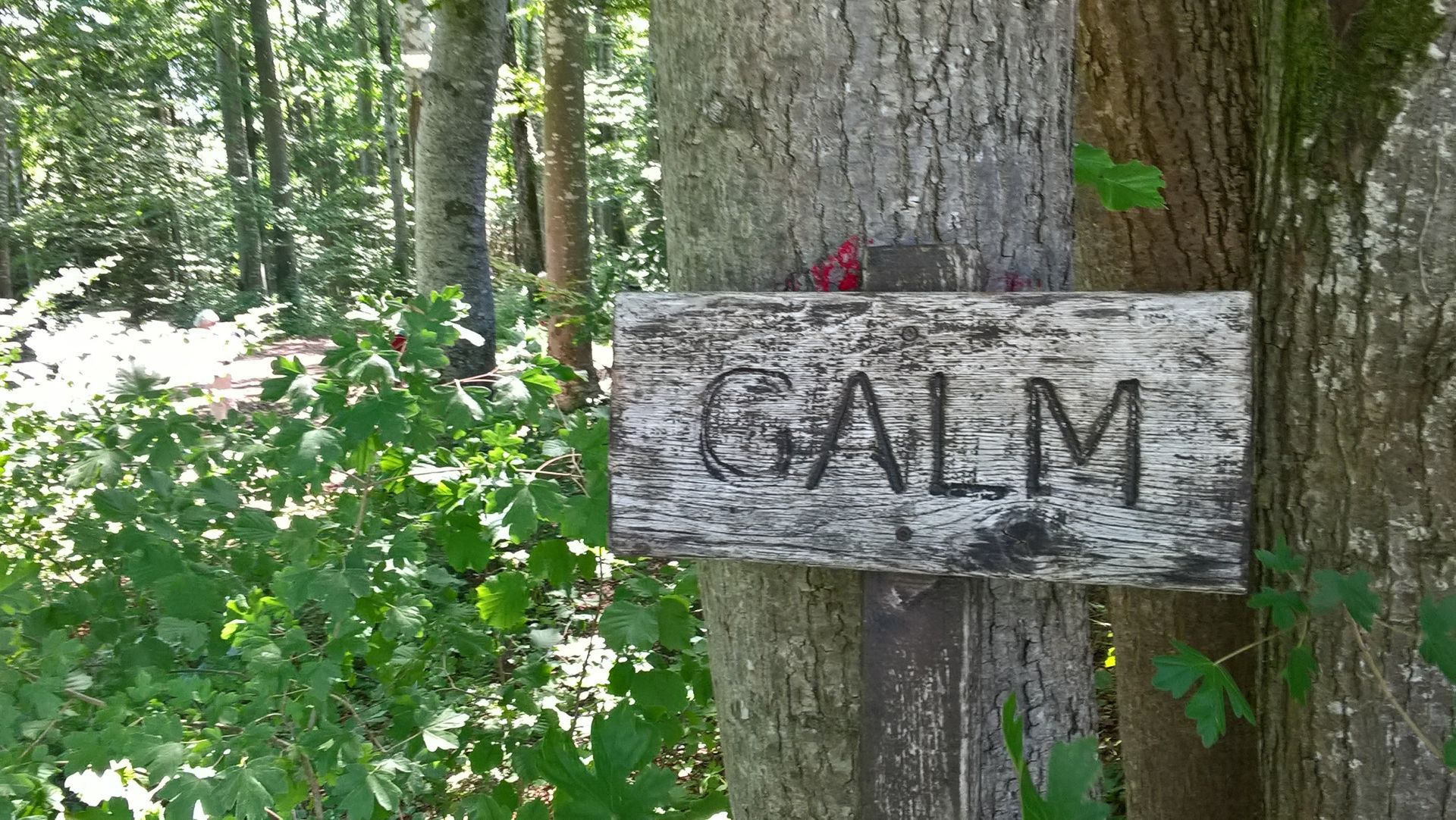 Wanderungen & Ausflüge