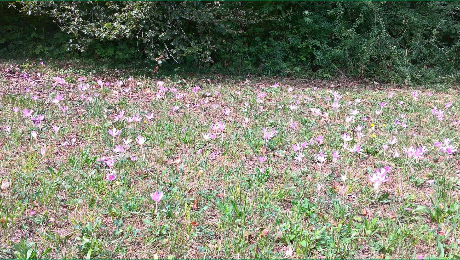 Wanderungen & Ausflüge