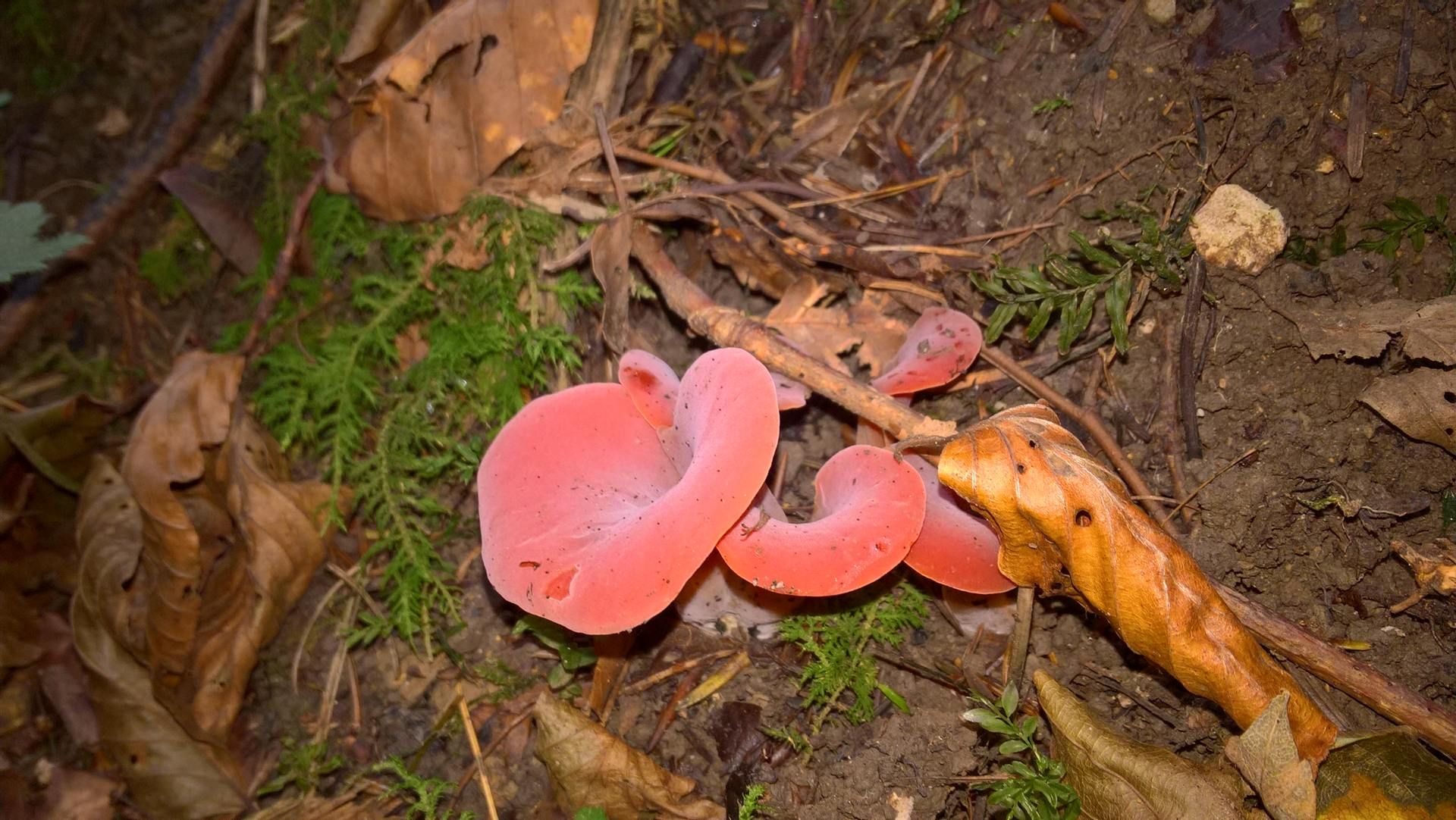 Wanderungen & Ausflüge