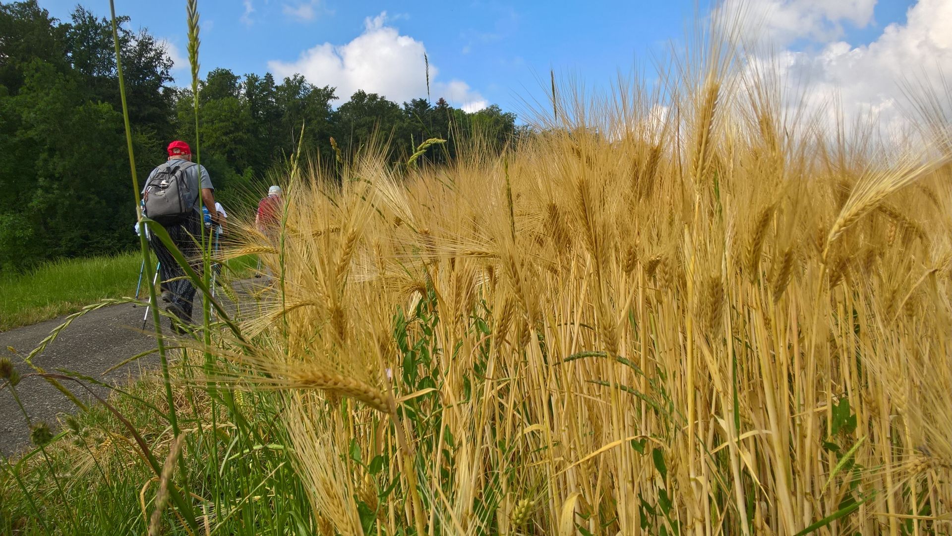 Wanderungen & Ausflüge