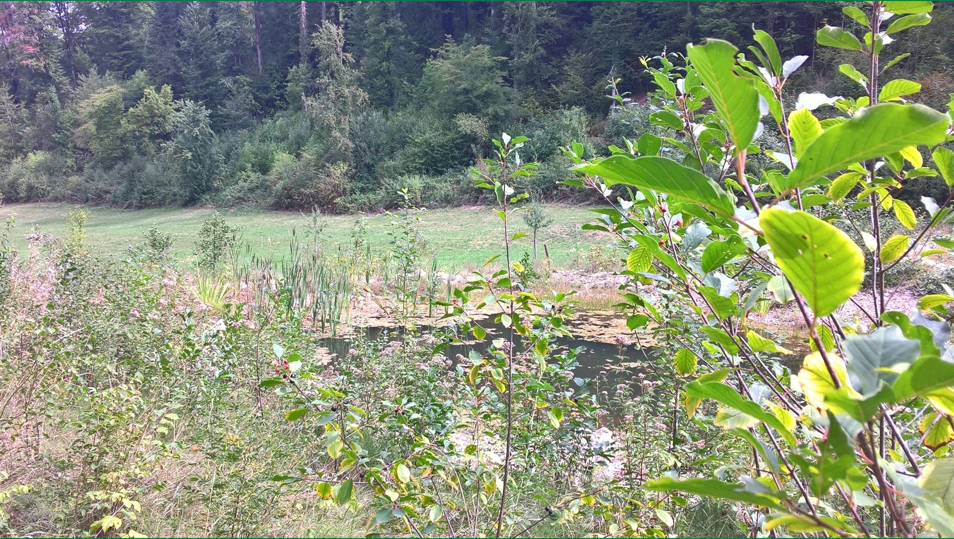 Wanderungen & Ausflüge