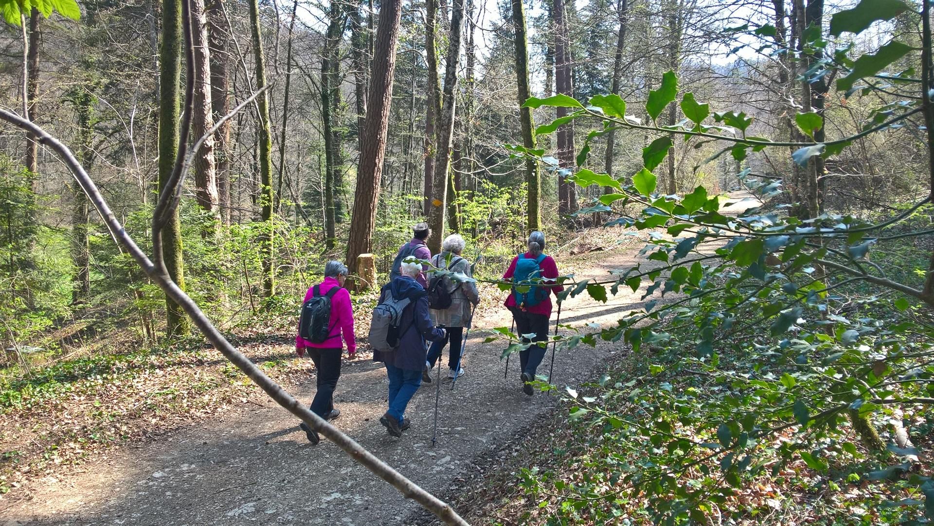 Wanderungen & Ausflüge