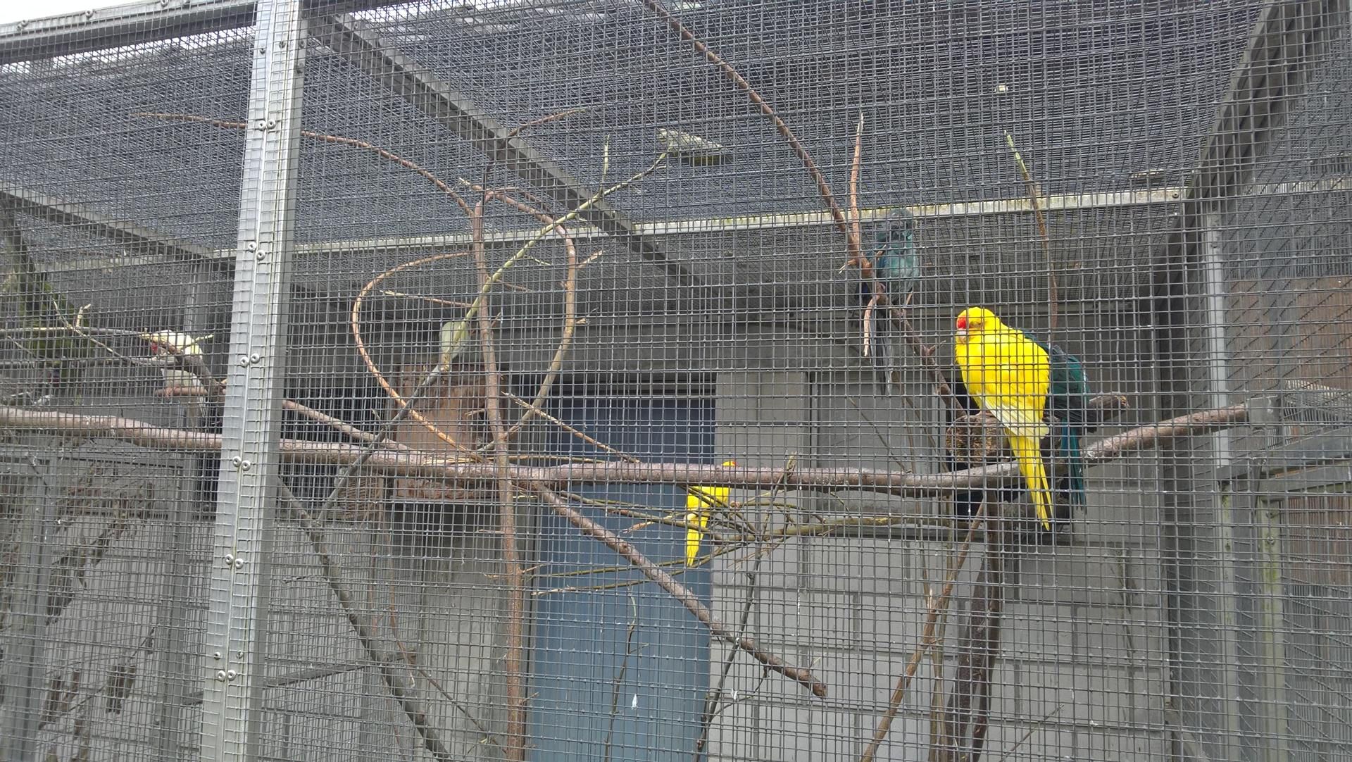 Wanderungen & Ausflüge