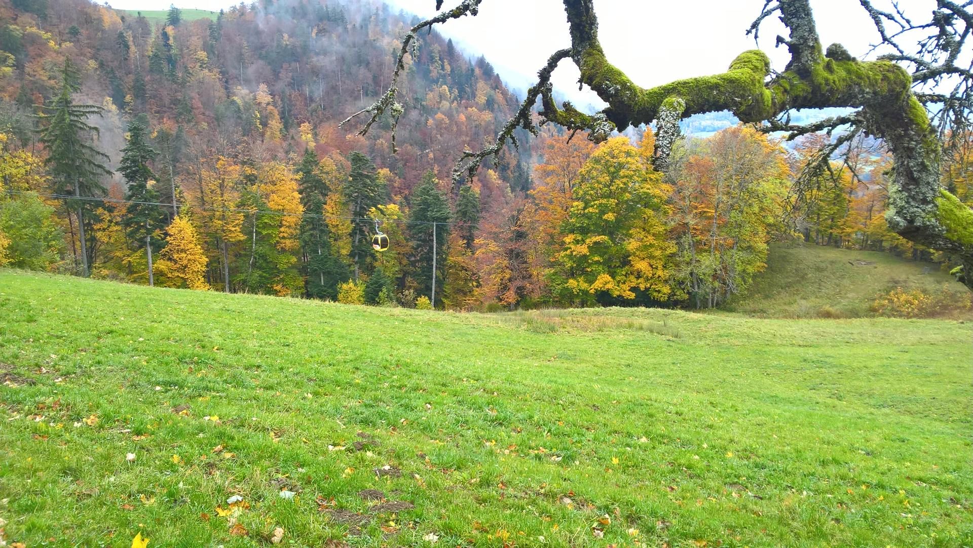 Wanderungen & Ausflüge