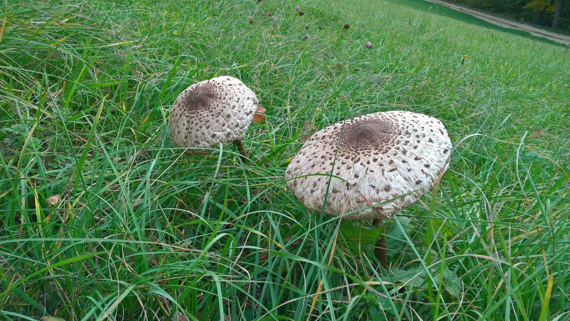 Wanderungen & Ausflüge