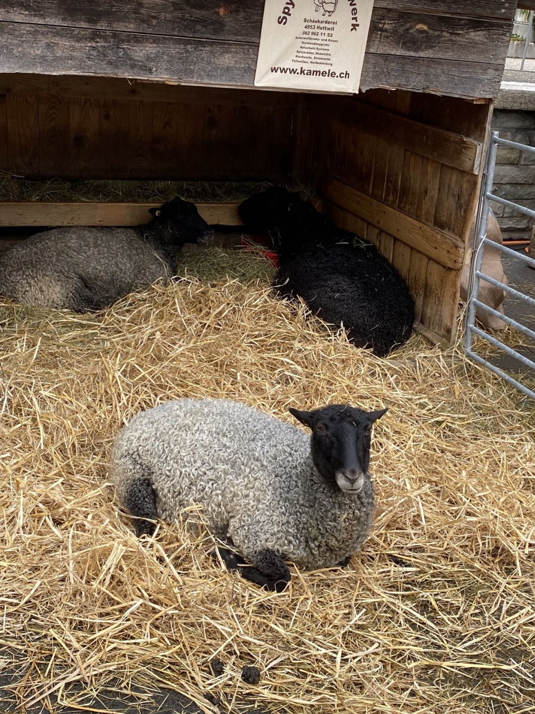 Wanderungen & Ausflüge