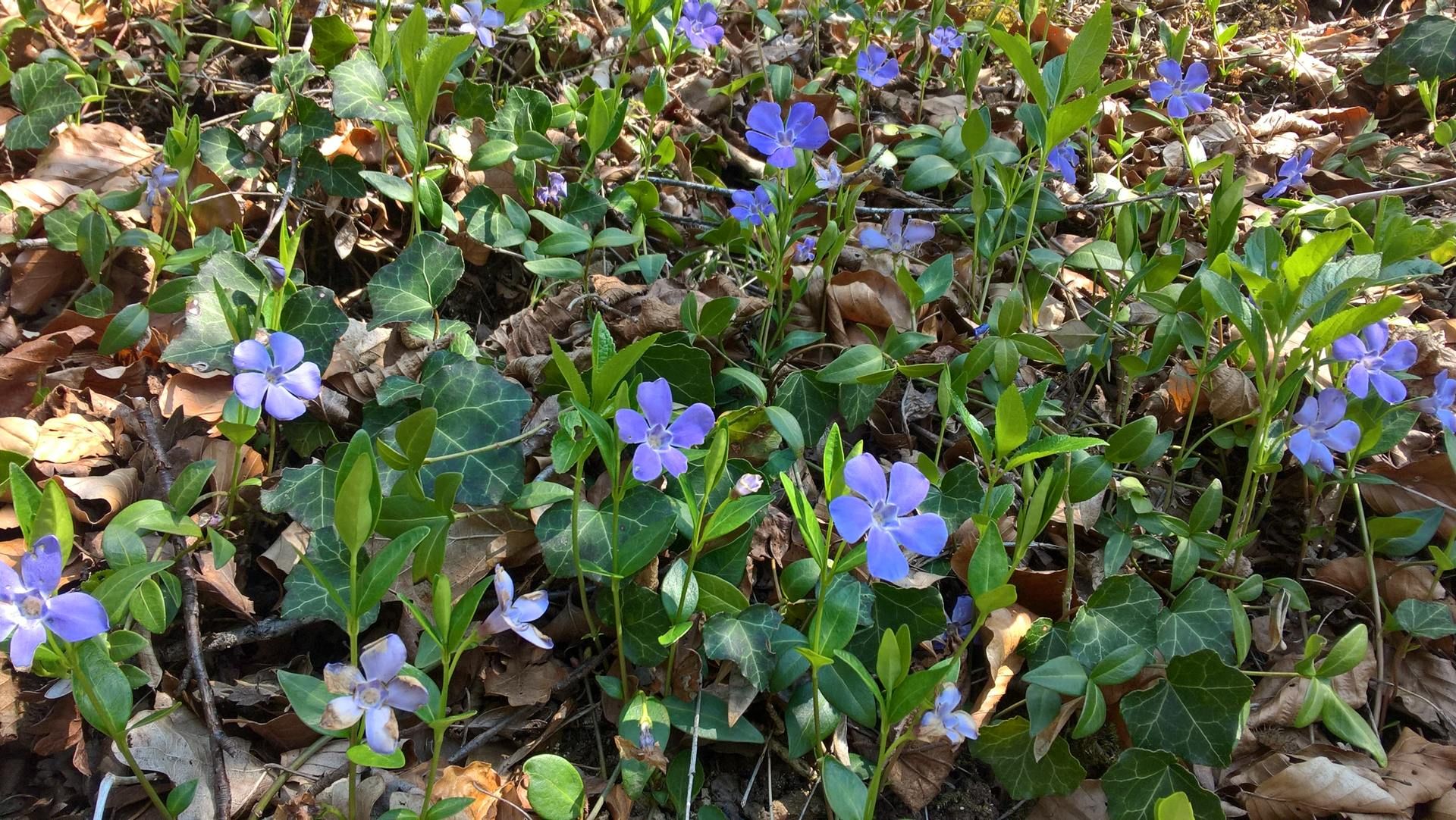 Wanderungen & Ausflüge