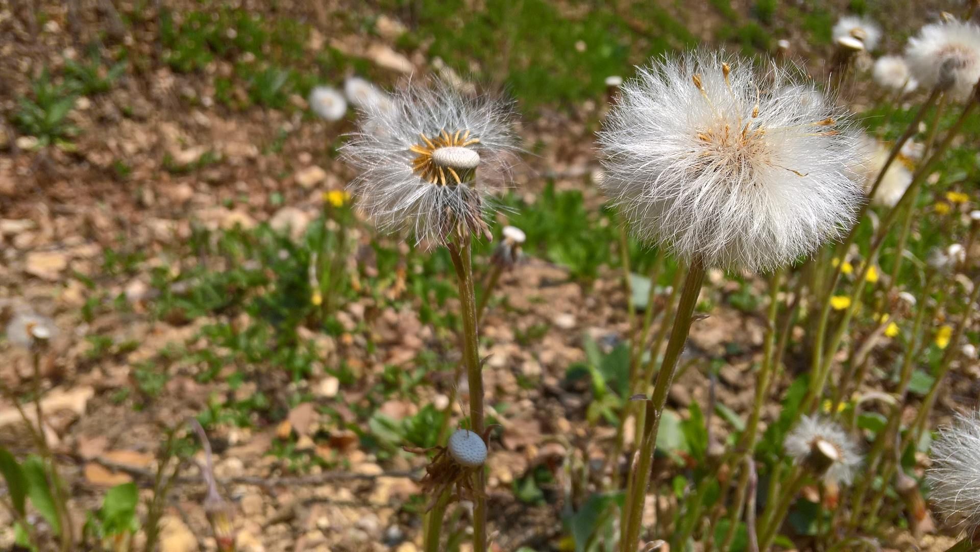Wanderungen & Ausflüge