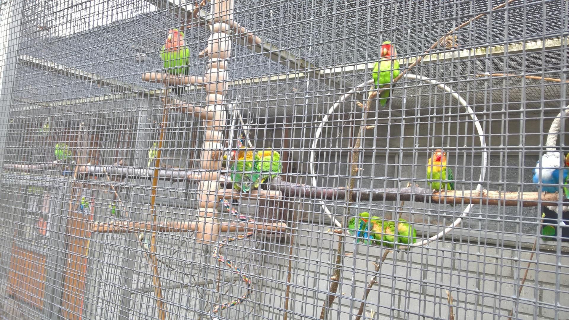 Wanderungen & Ausflüge