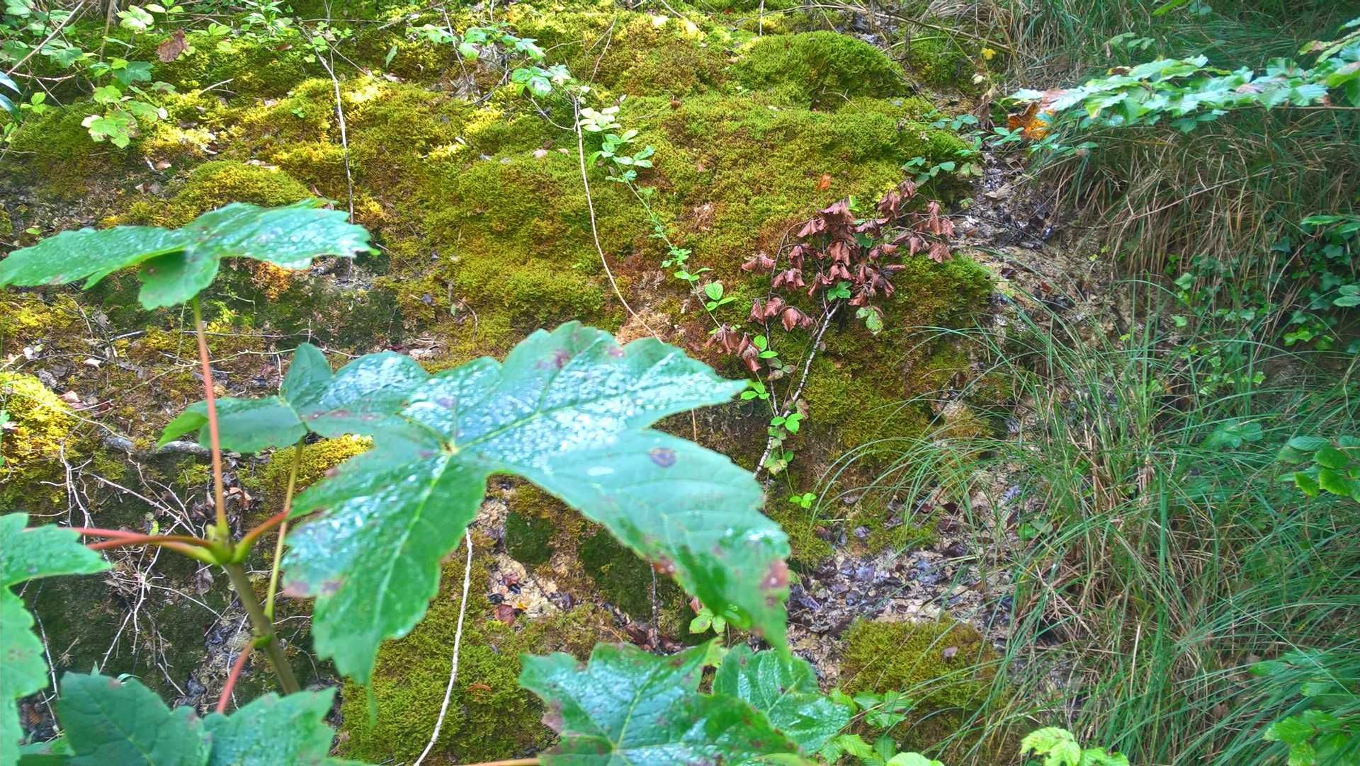 Wanderungen & Ausflüge