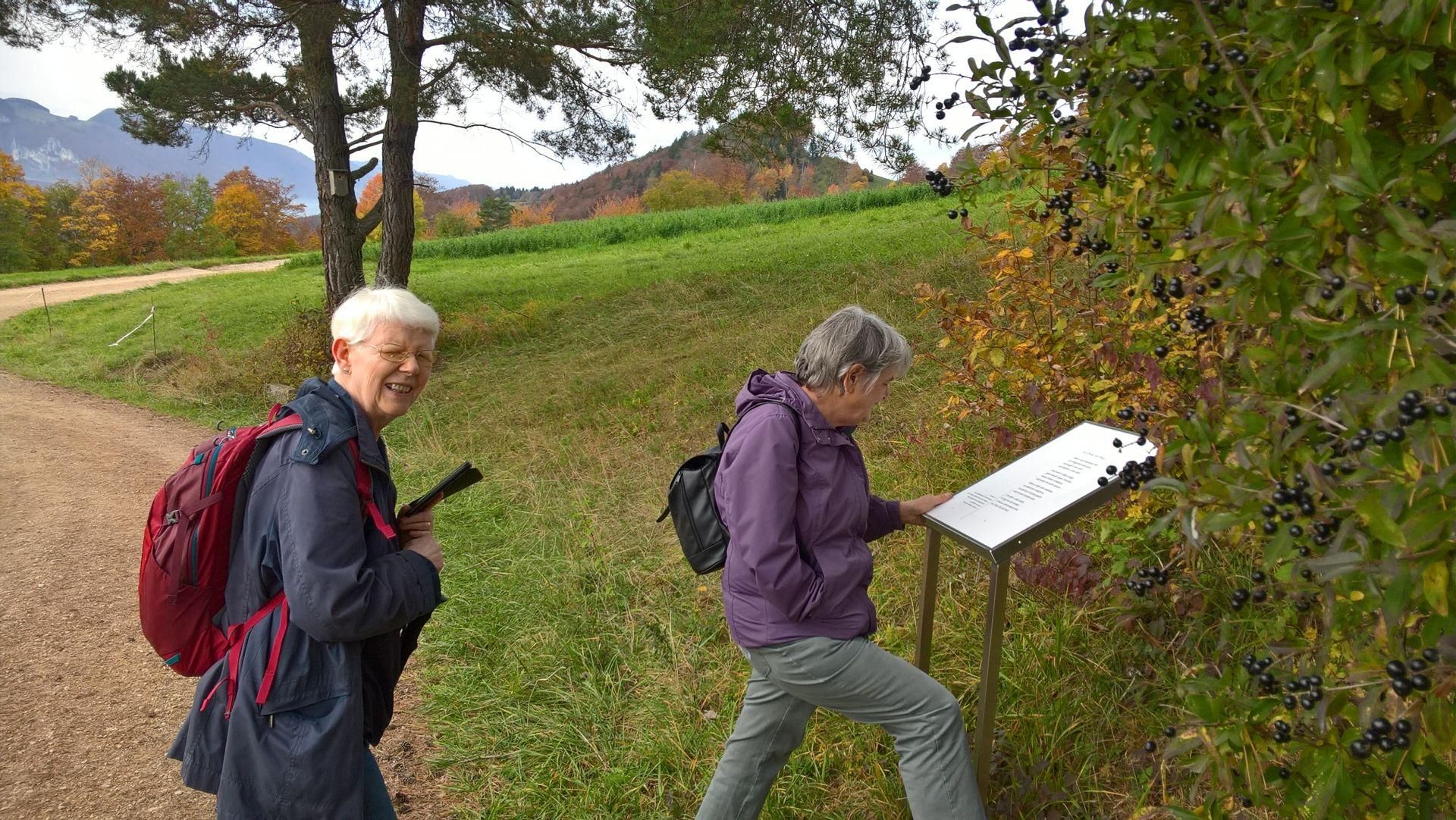 Wanderungen & Ausflüge