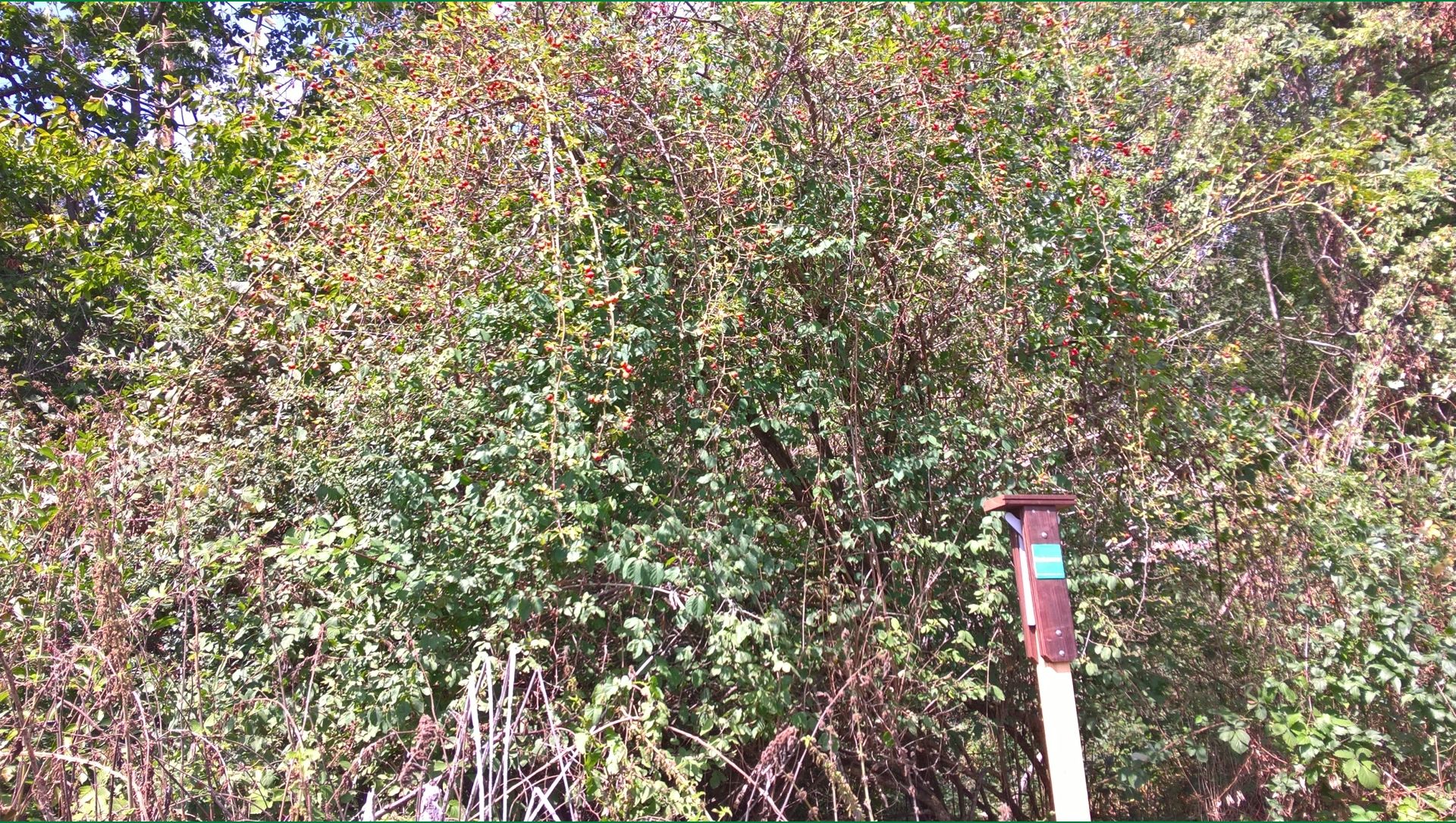 Wanderungen & Ausflüge