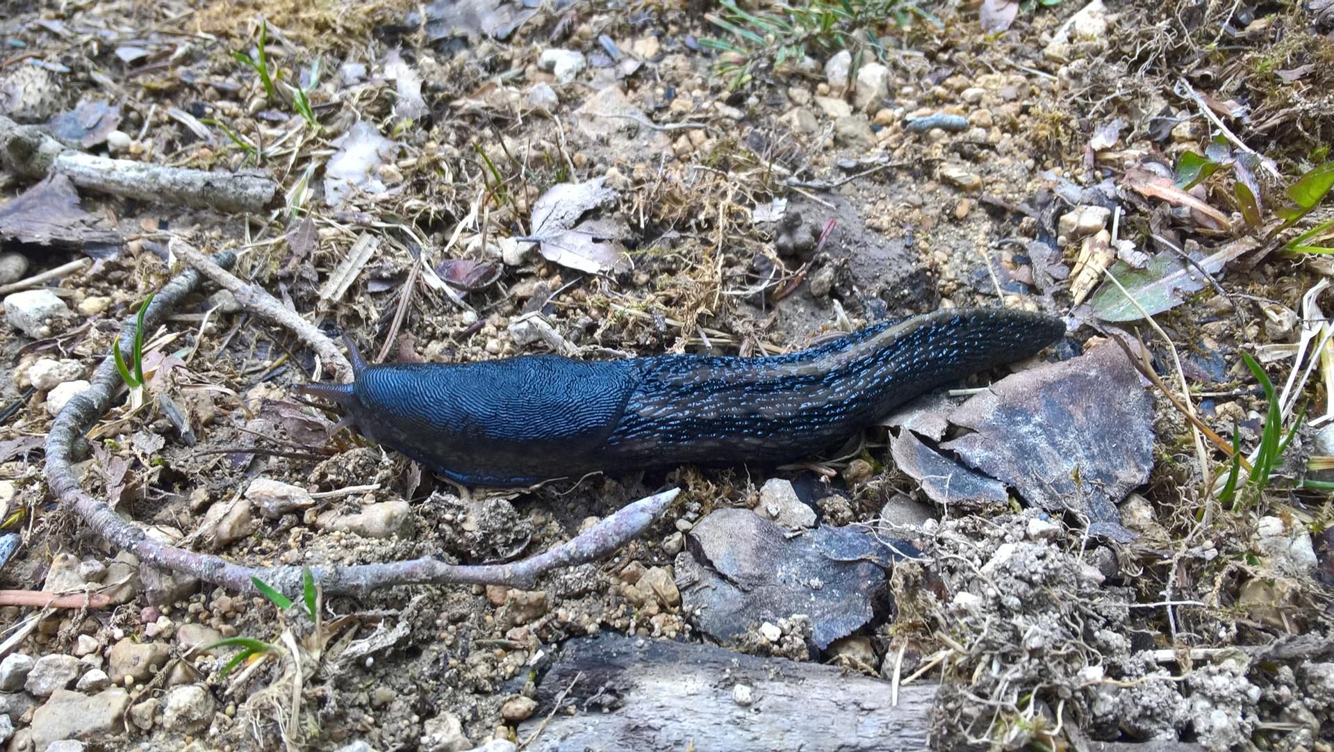 Wanderungen & Ausflüge