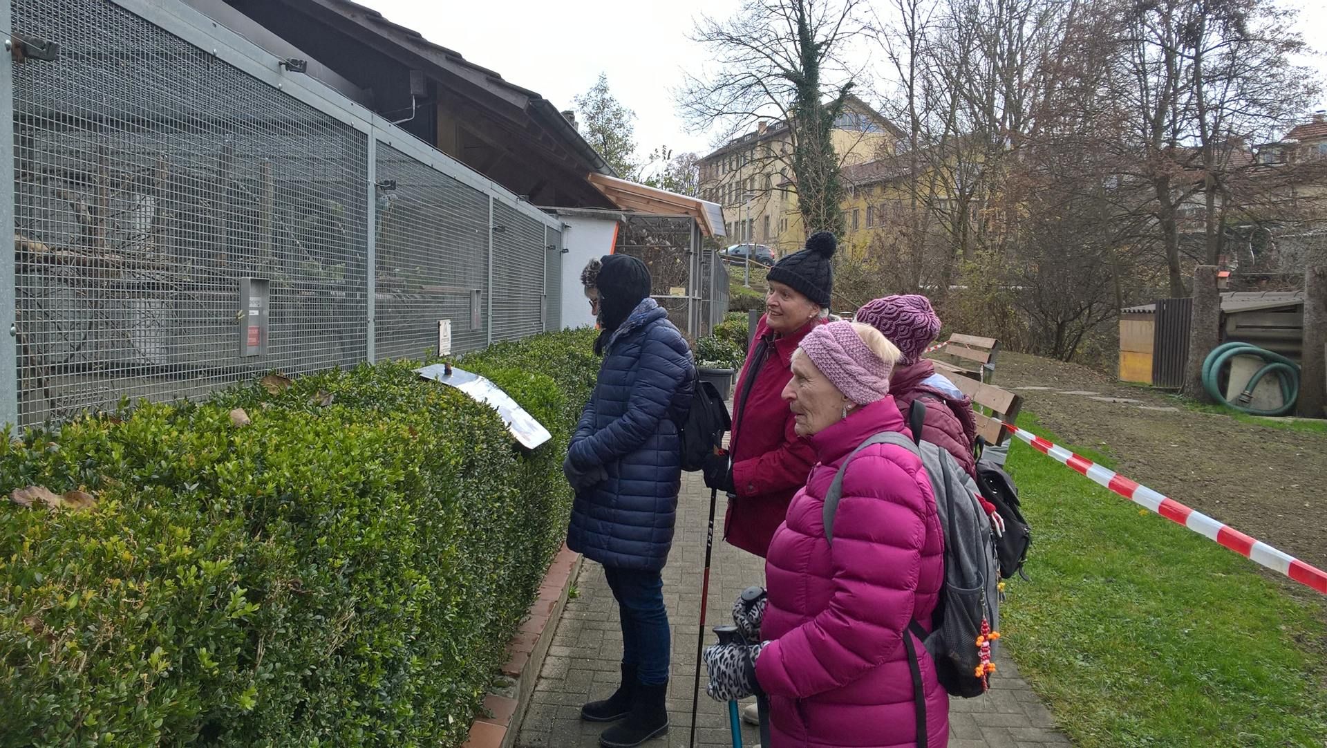 Wanderungen & Ausflüge