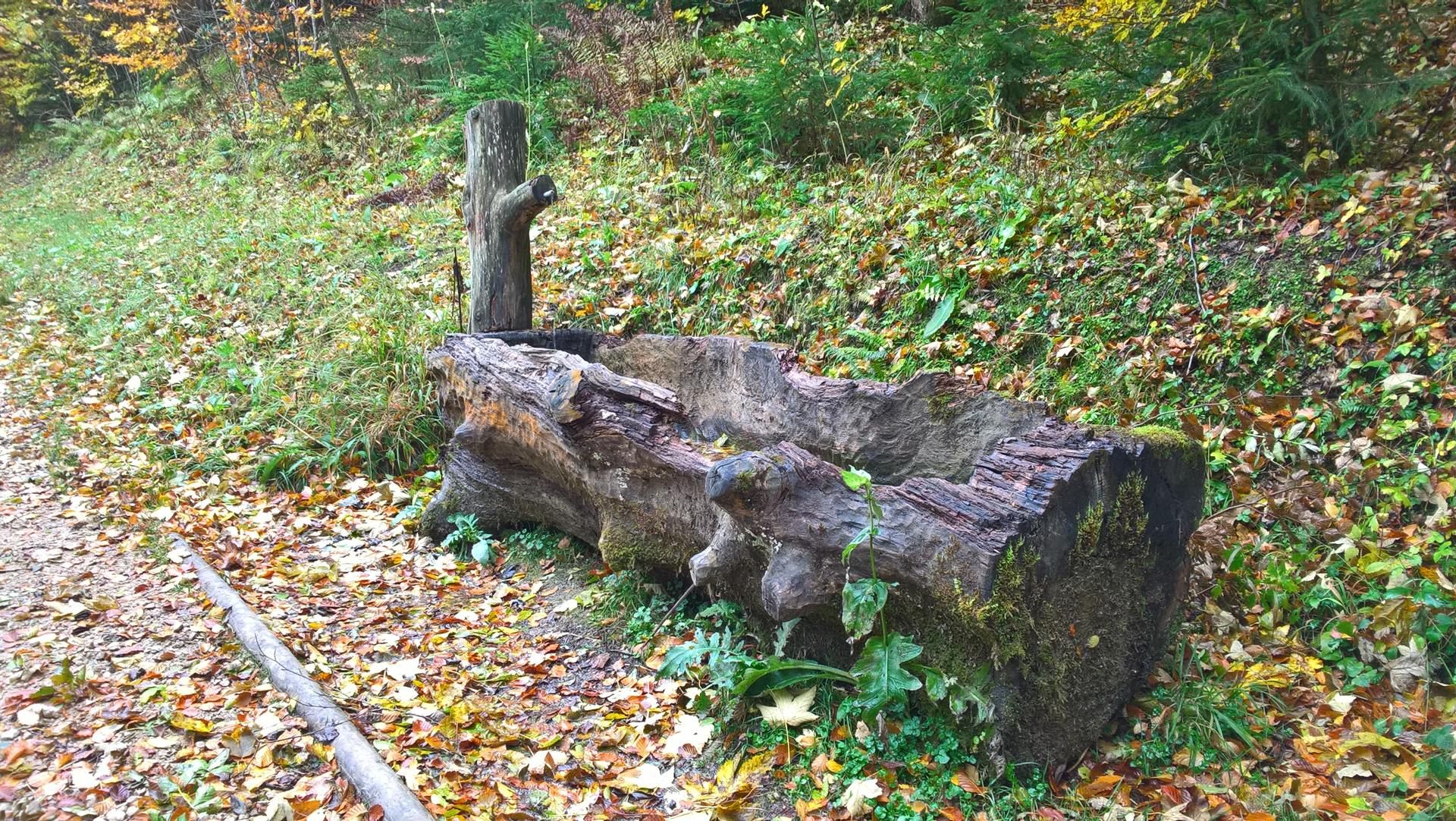 Wanderungen & Ausflüge