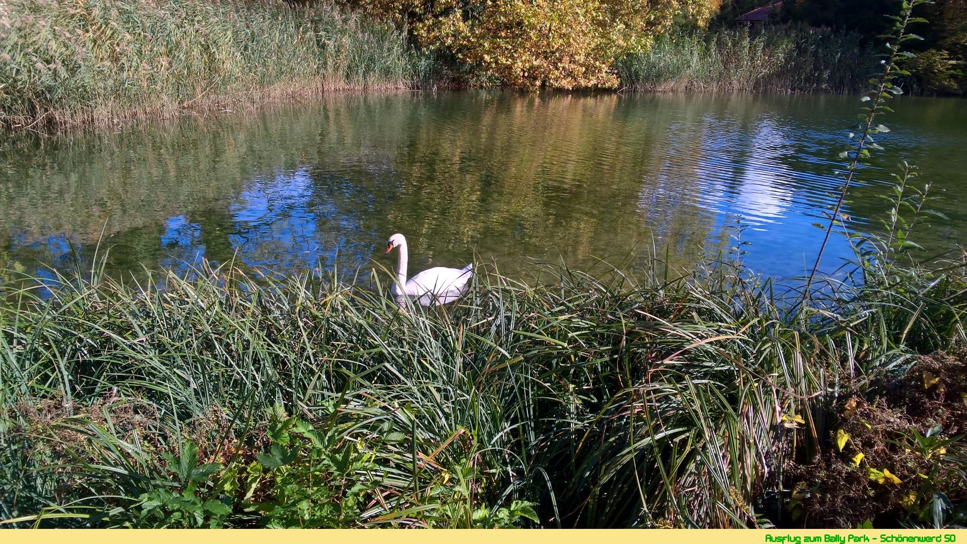 Wanderungen & Ausflüge
