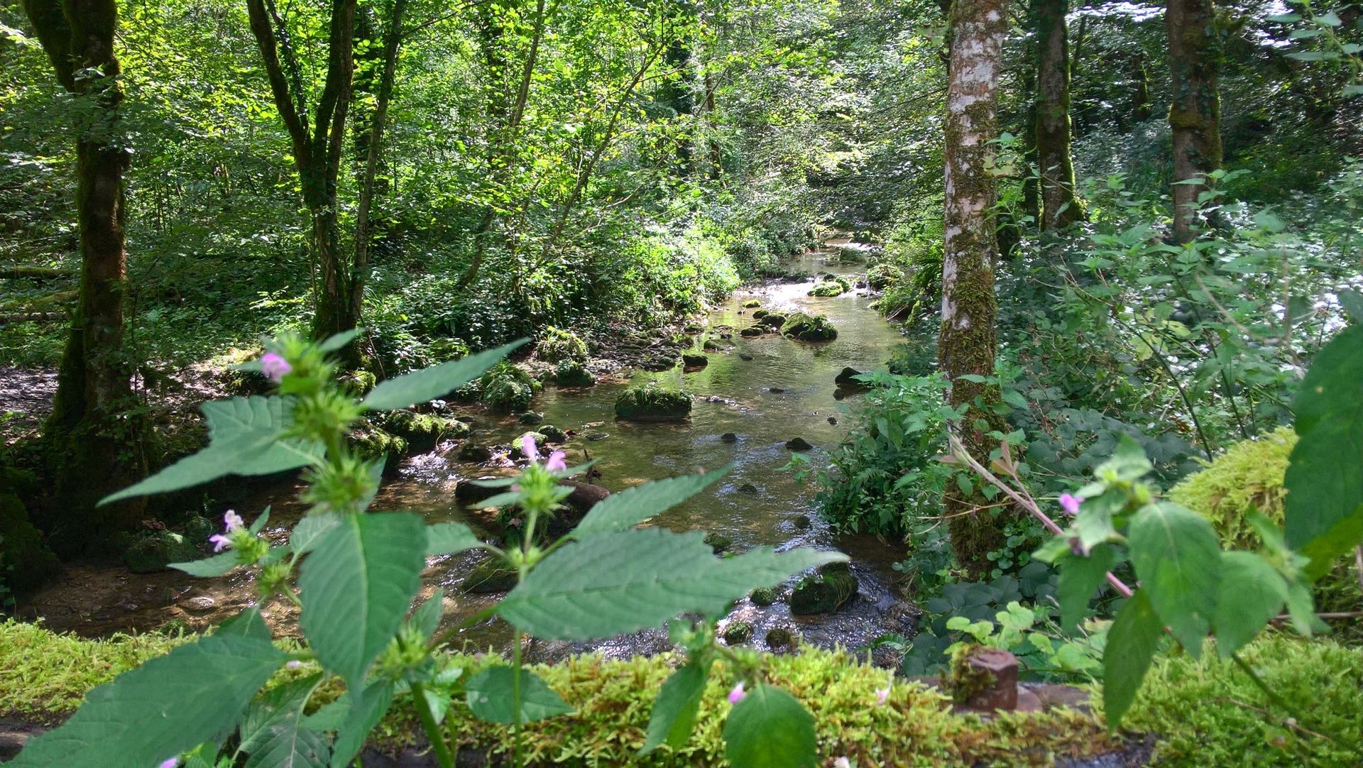 Wanderungen & Ausflüge