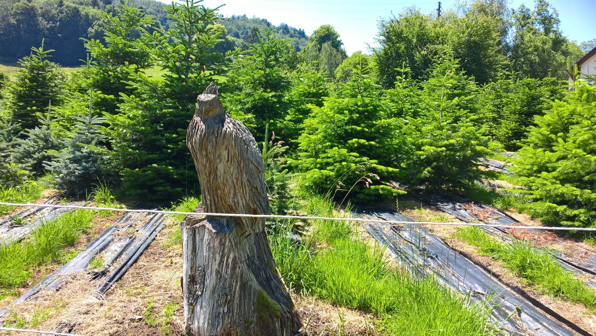 Wanderungen & Ausflüge