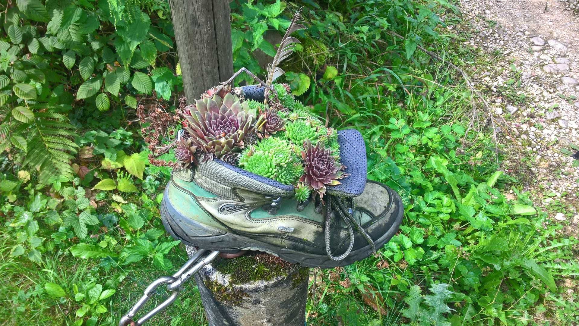 Wanderungen & Ausflüge