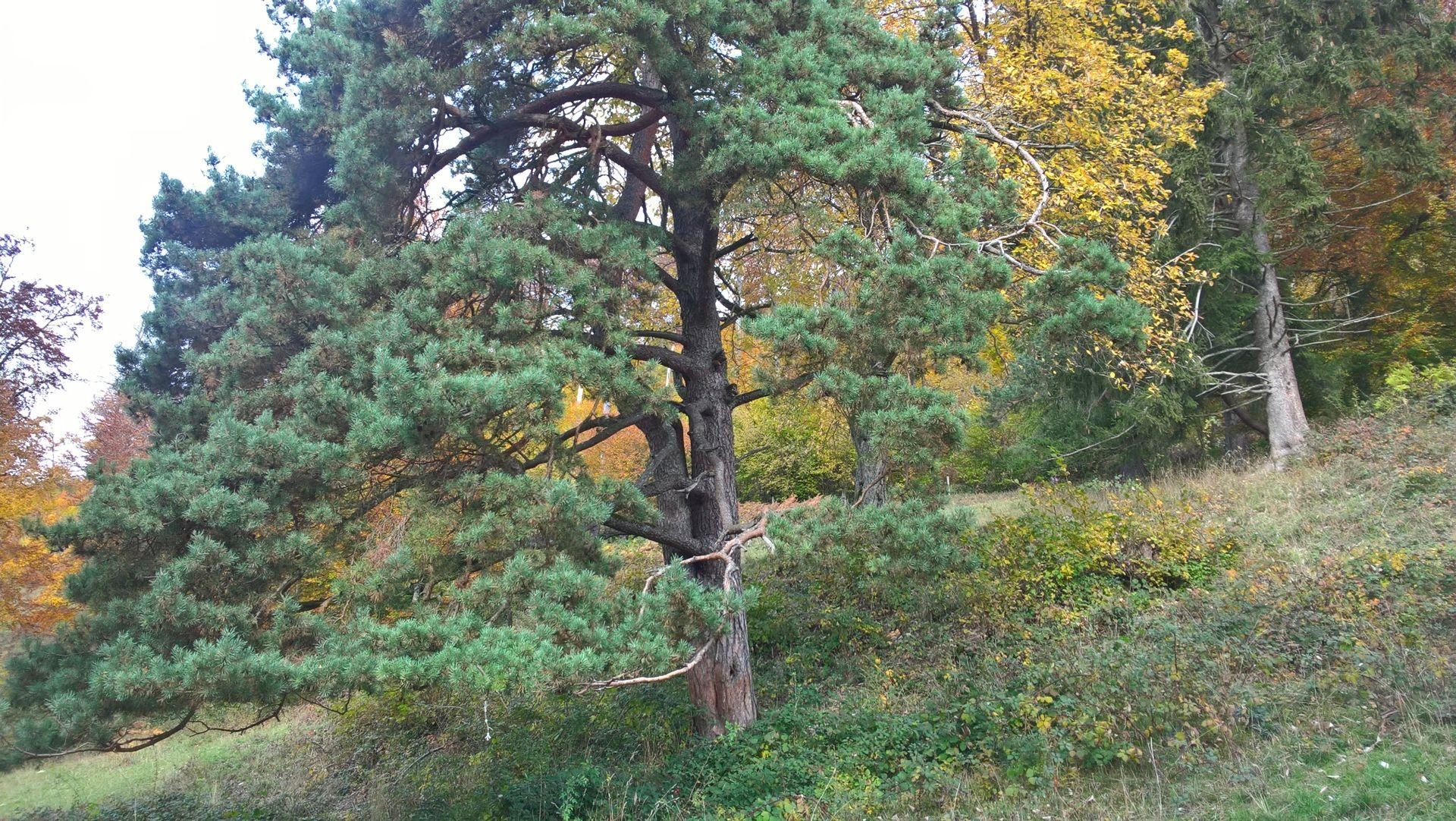 Wanderungen & Ausflüge