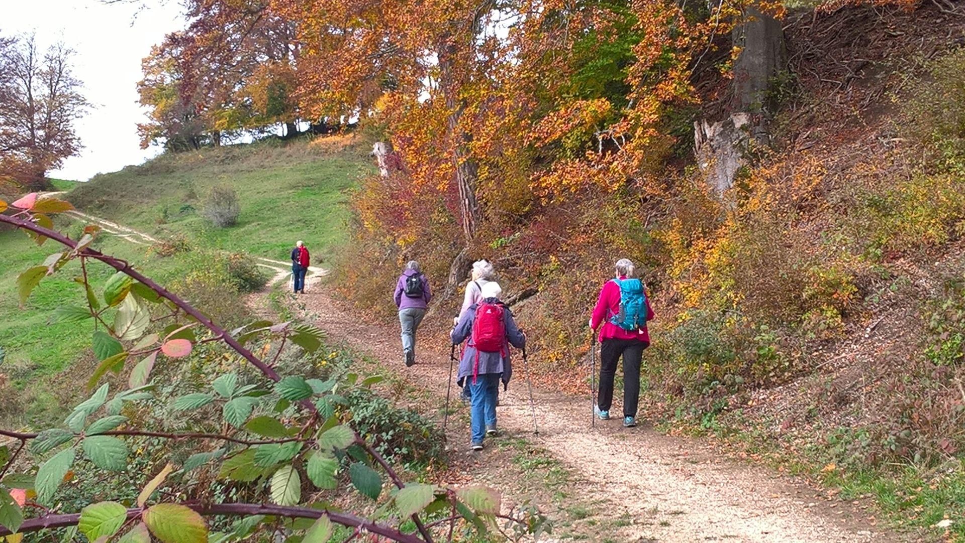 Wanderungen & Ausflüge