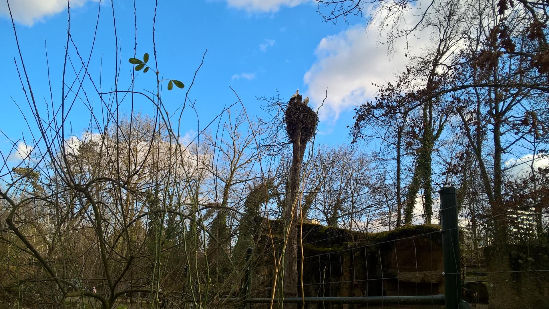 Wanderungen & Ausflüge