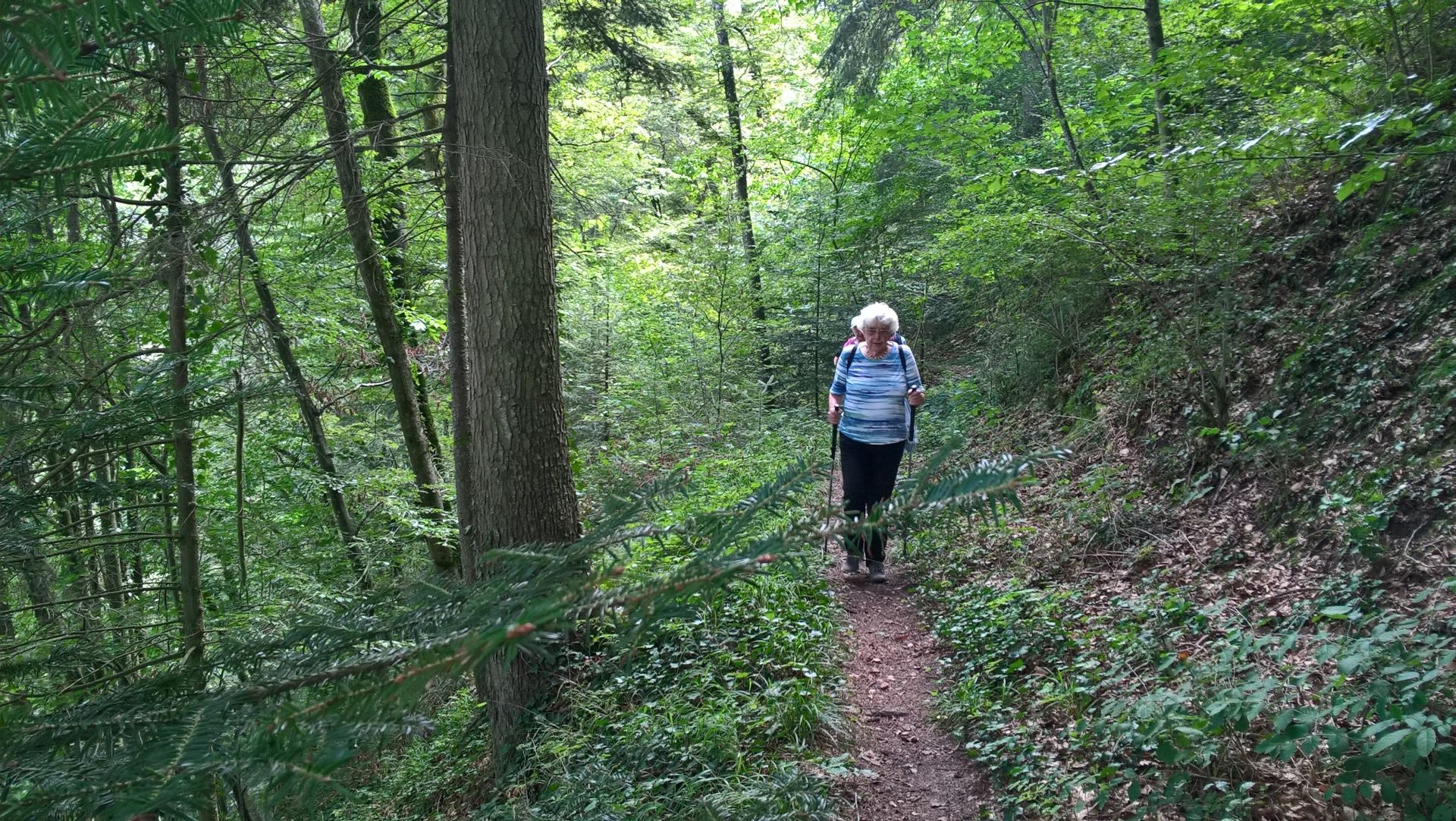 Wanderungen & Ausflüge