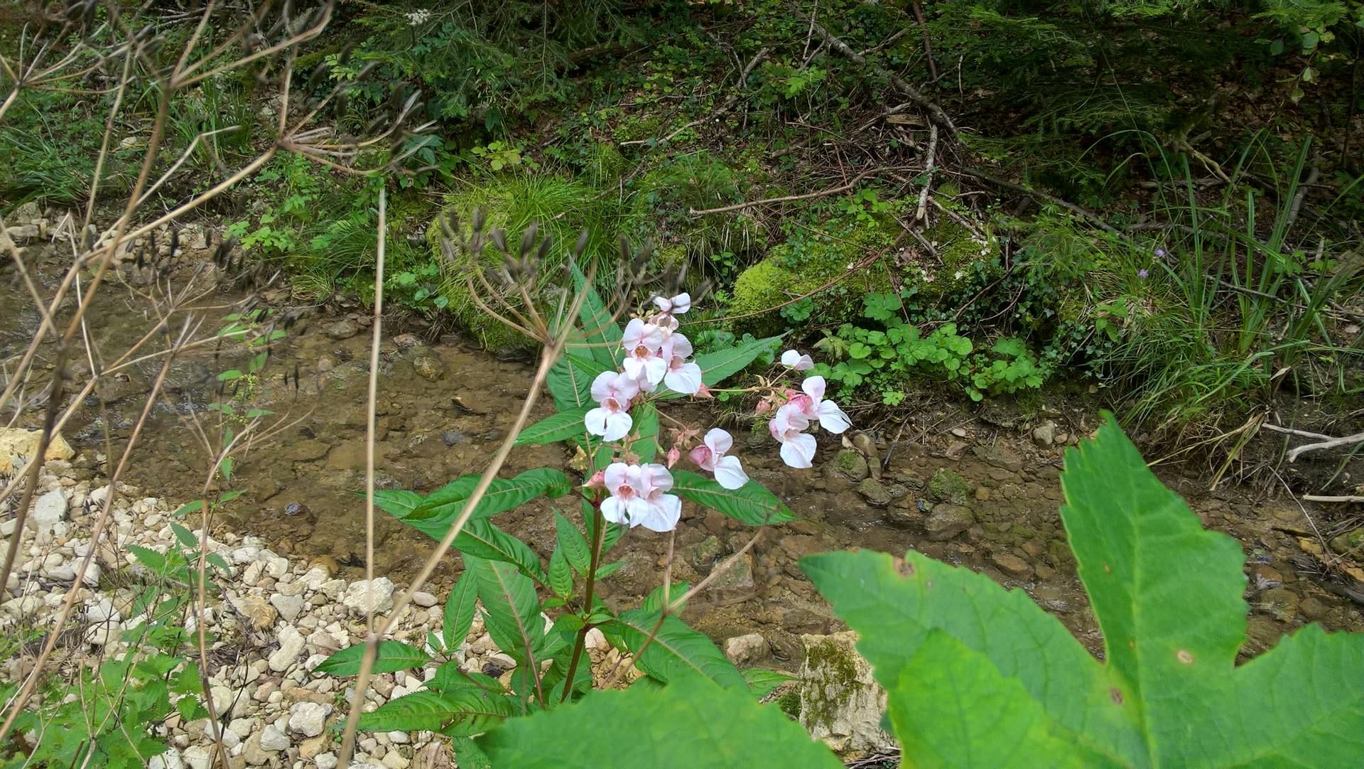 Wanderungen & Ausflüge