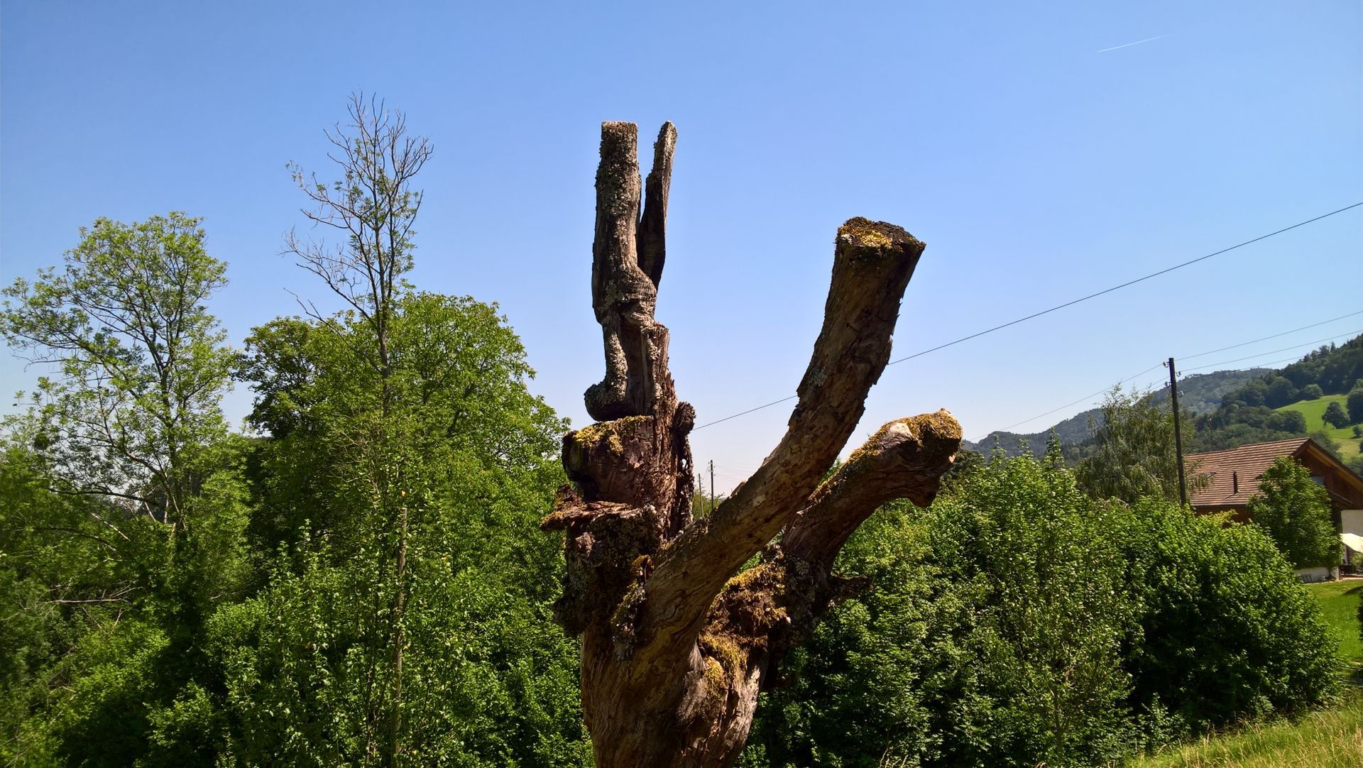 Wanderungen & Ausflüge