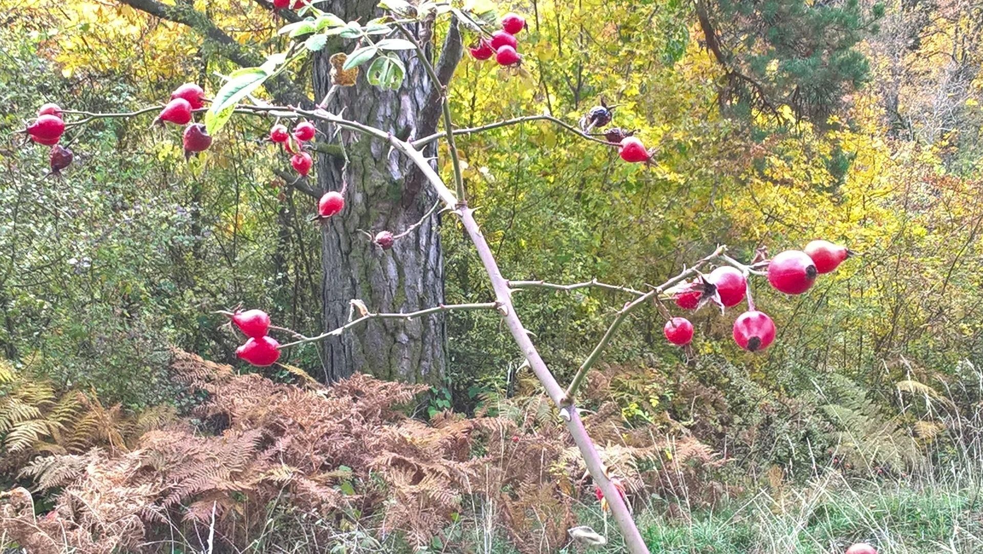 Wanderungen & Ausflüge