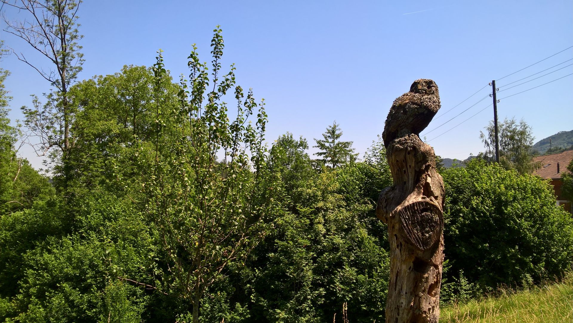 Wanderungen & Ausflüge