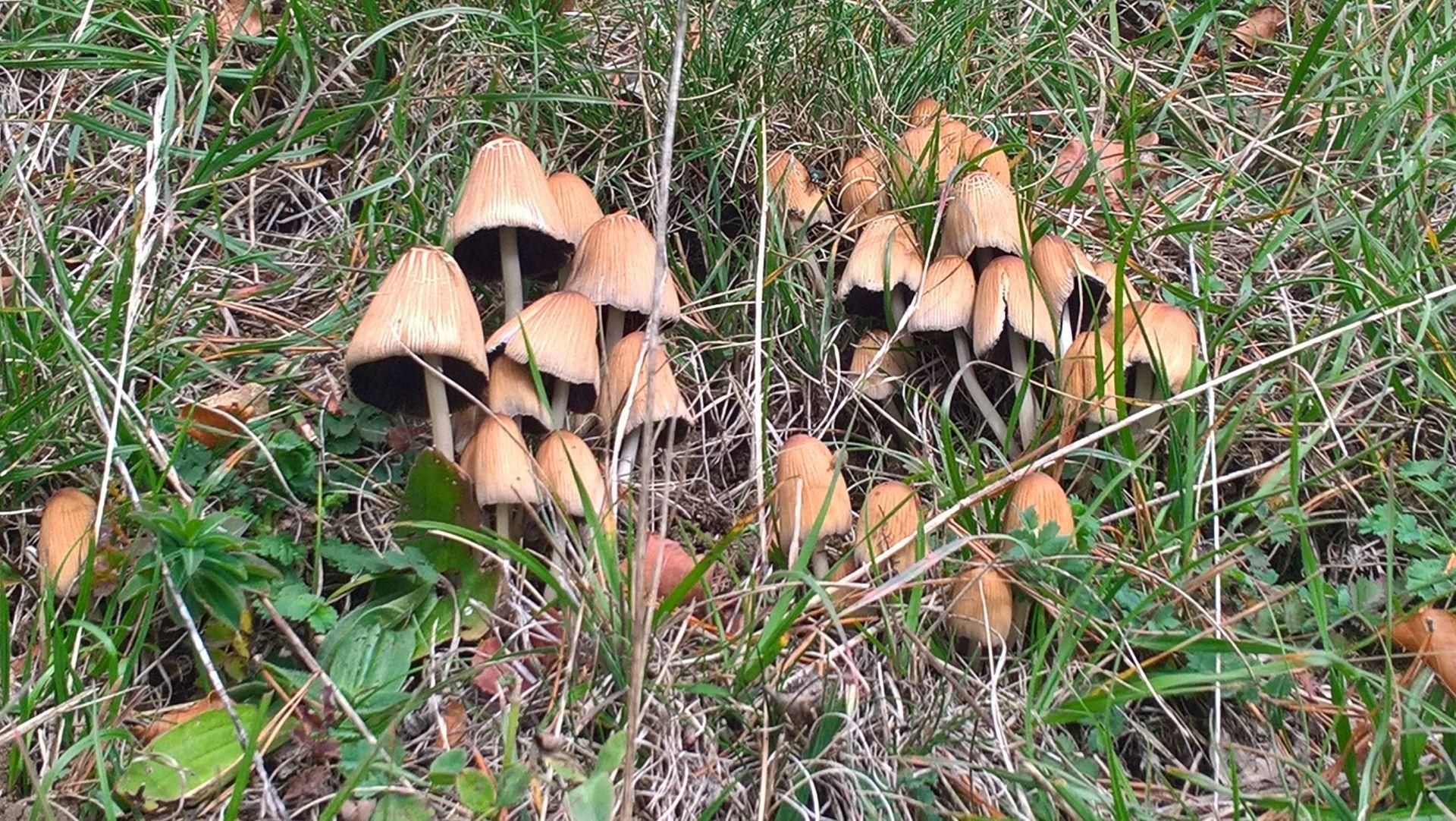 Wanderungen & Ausflüge