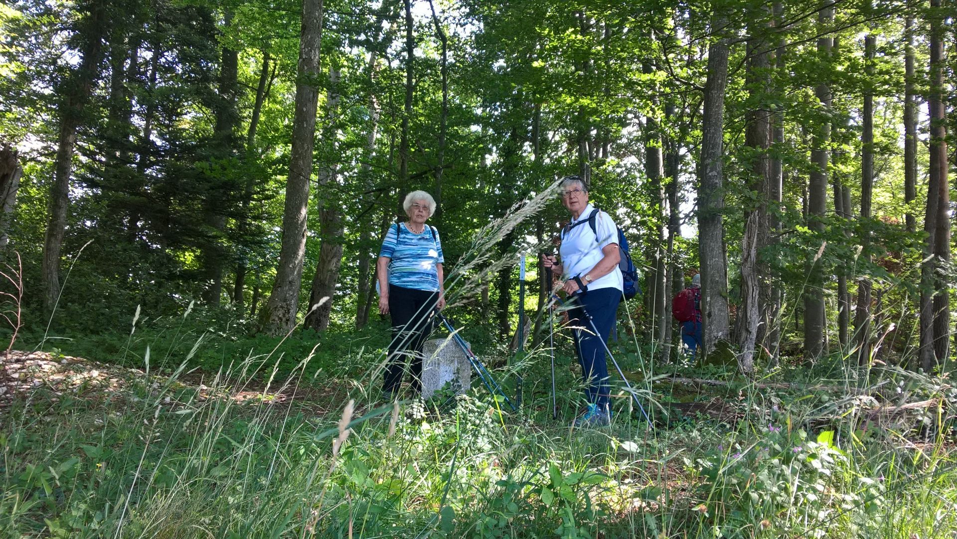 Wanderungen & Ausflüge