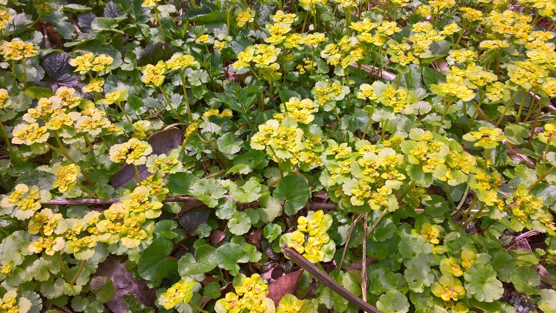 Wanderungen & Ausflüge