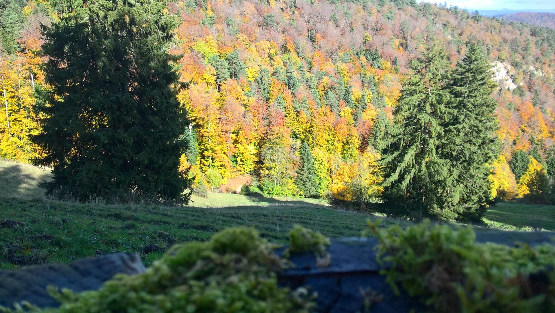 Wanderungen & Ausflüge