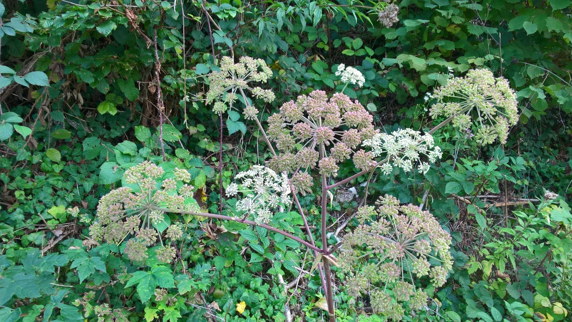 Wanderungen & Ausflüge