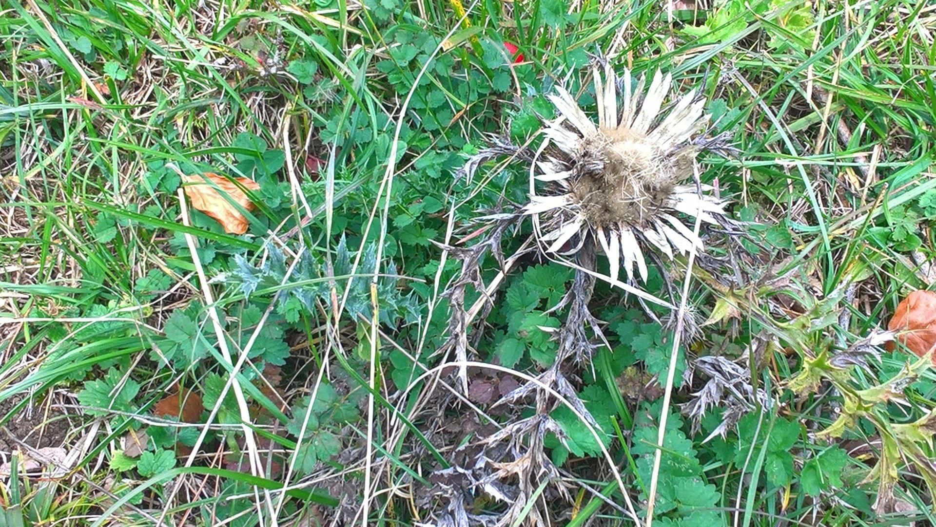 Wanderungen & Ausflüge