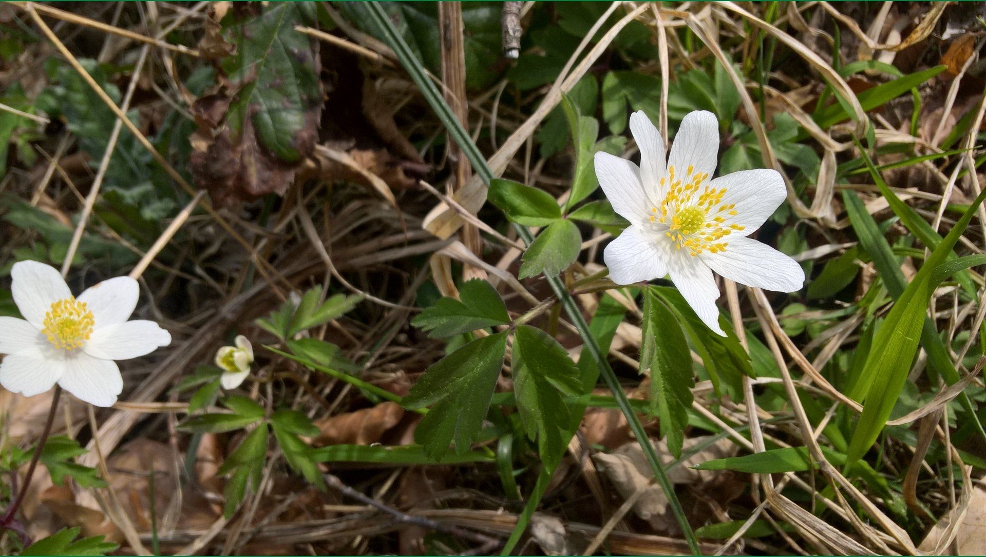 Wanderungen & Ausflüge