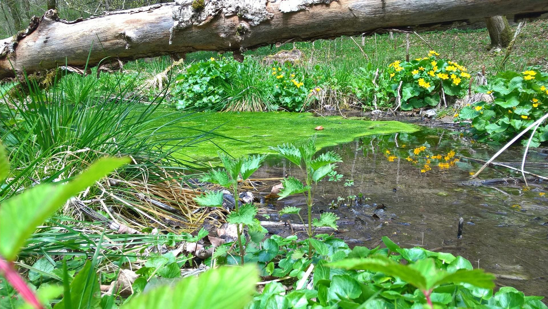 Wanderungen & Ausflüge