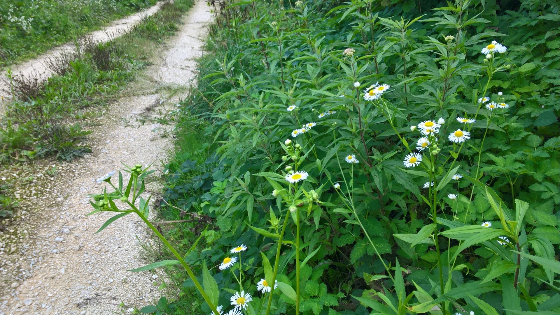 Wanderungen & Ausflüge
