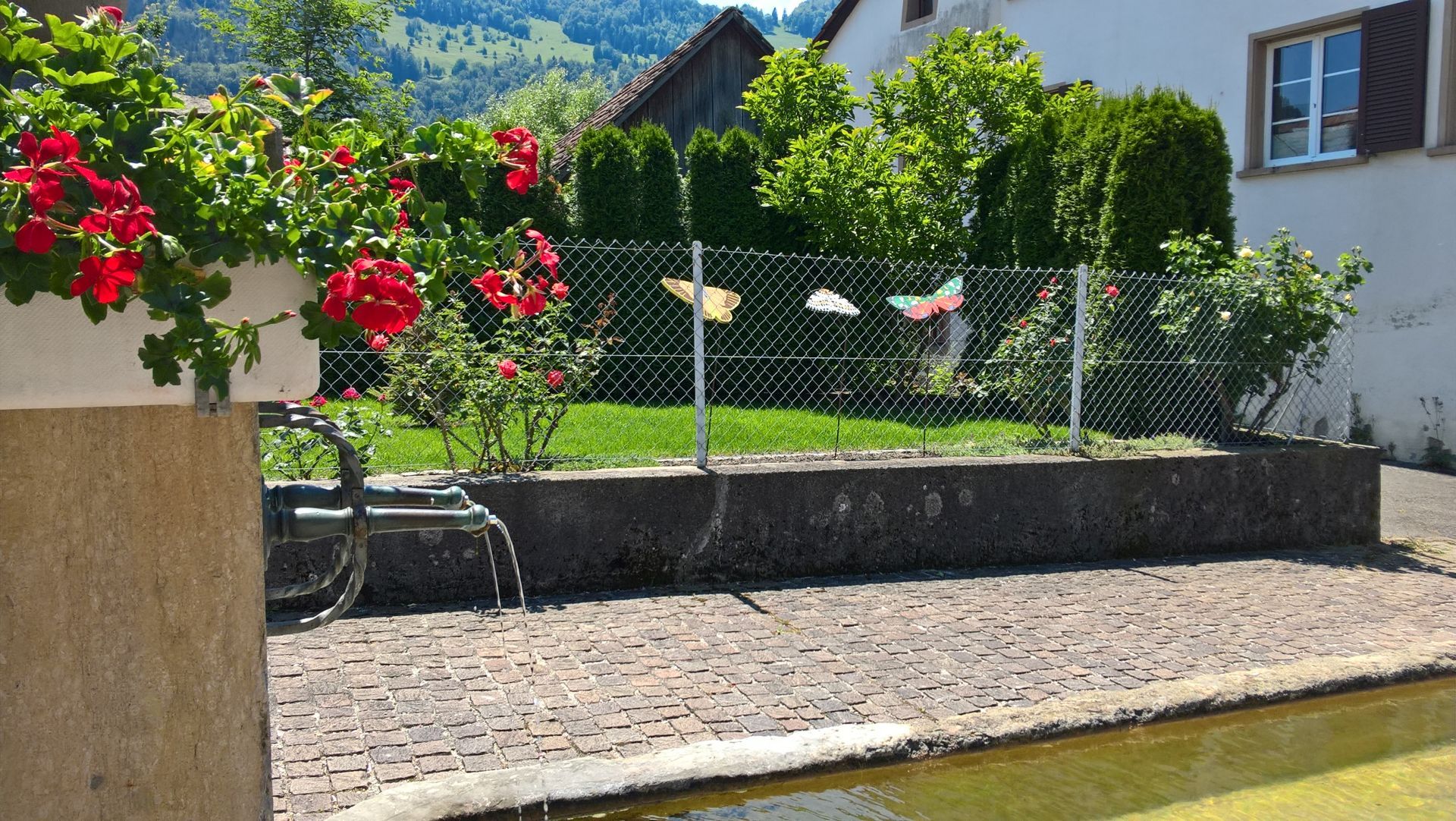 Wanderungen & Ausflüge