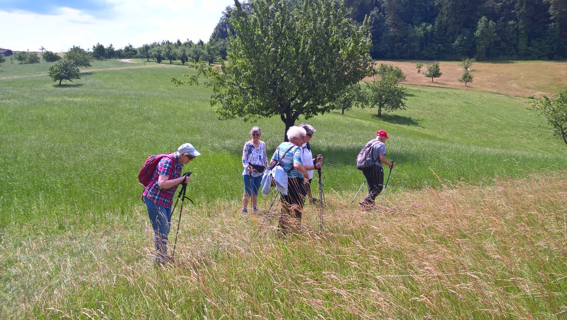 Wanderungen & Ausflüge