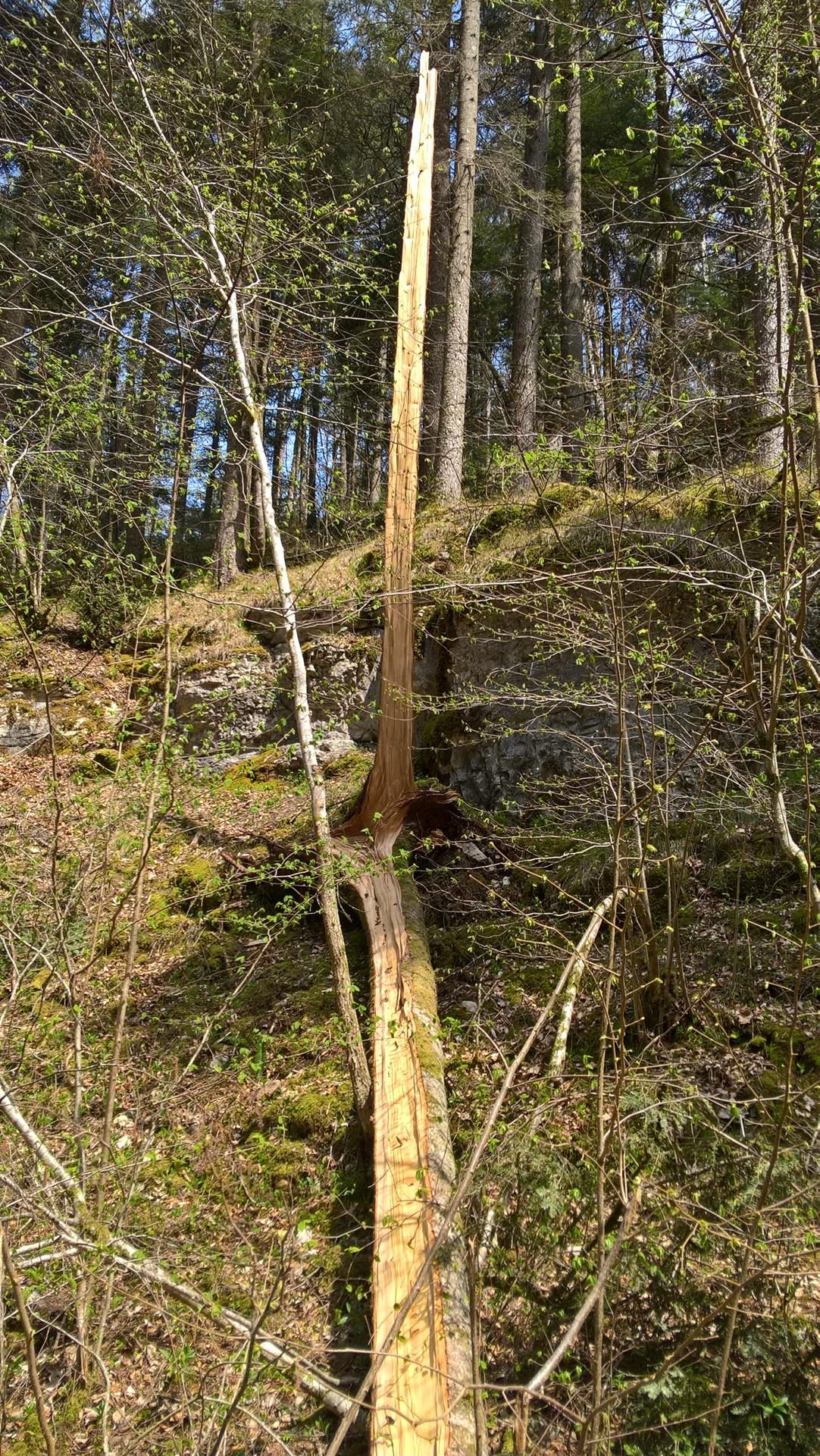 Wanderungen & Ausflüge