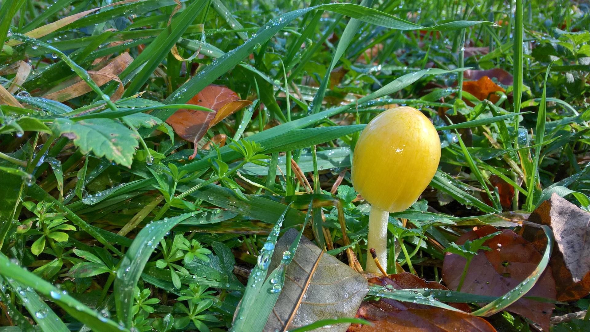 Wanderungen & Ausflüge