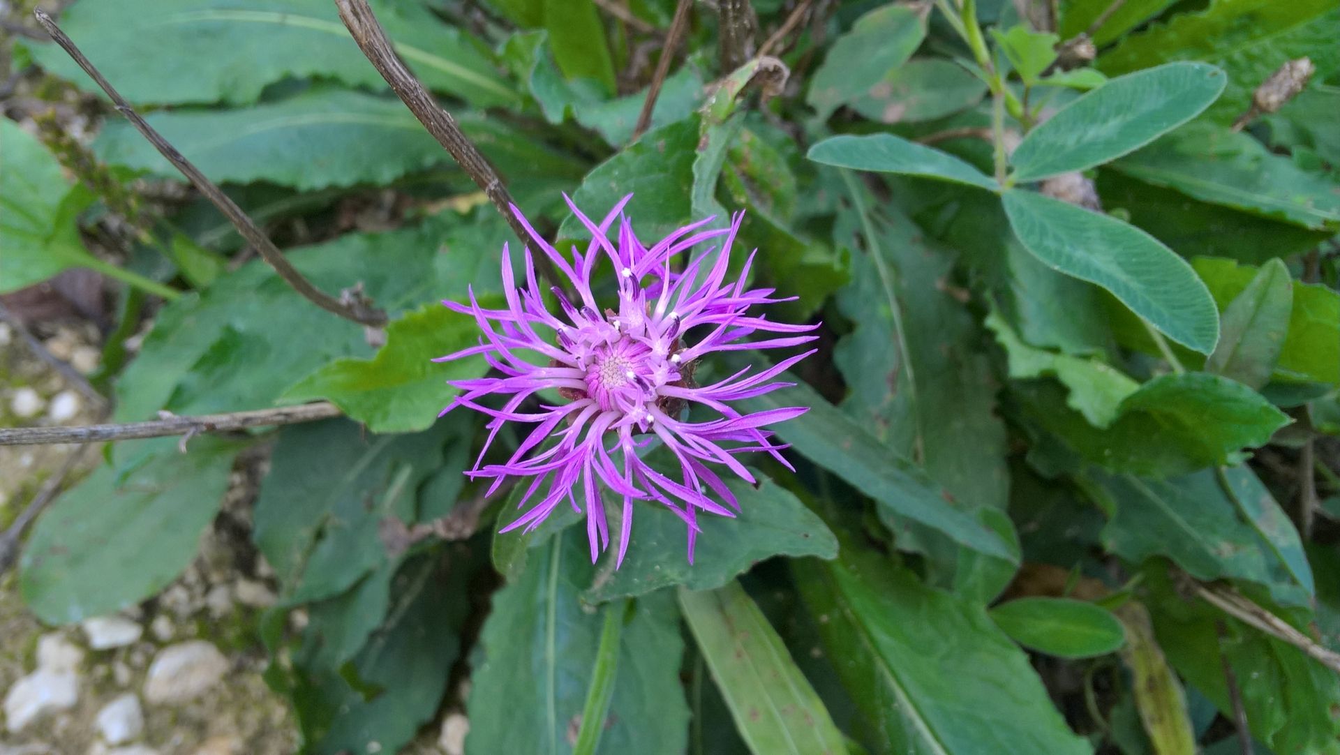 Wanderungen & Ausflüge