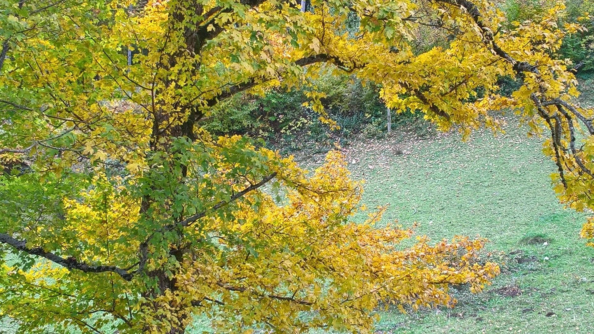 Wanderungen & Ausflüge