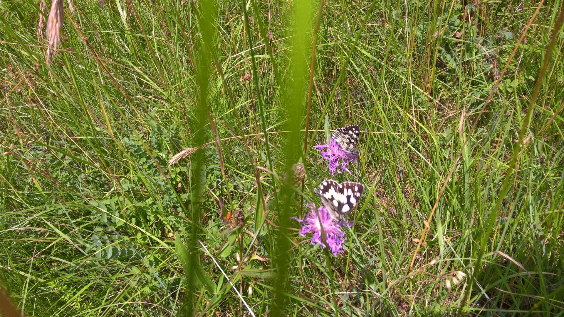 Wanderungen & Ausflüge