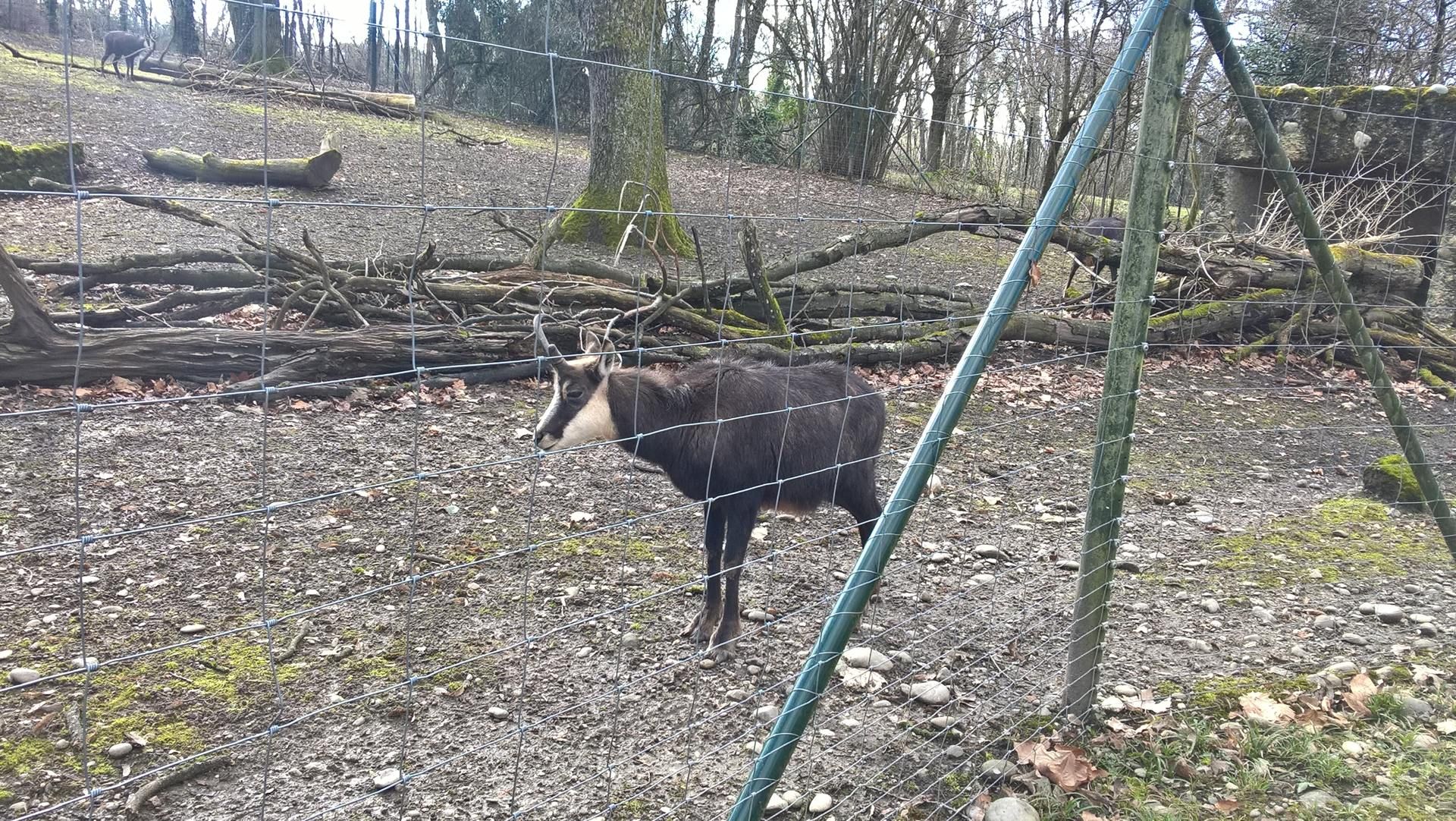 Wanderungen & Ausflüge